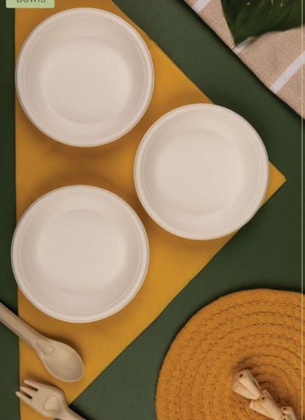 Bagasse Bowls