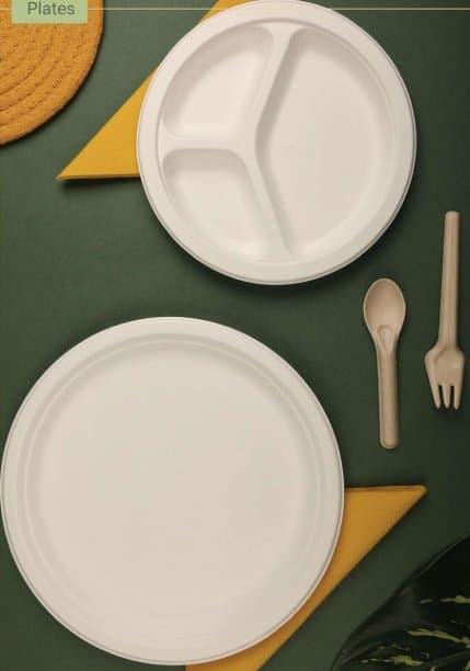 Bagasse Plates