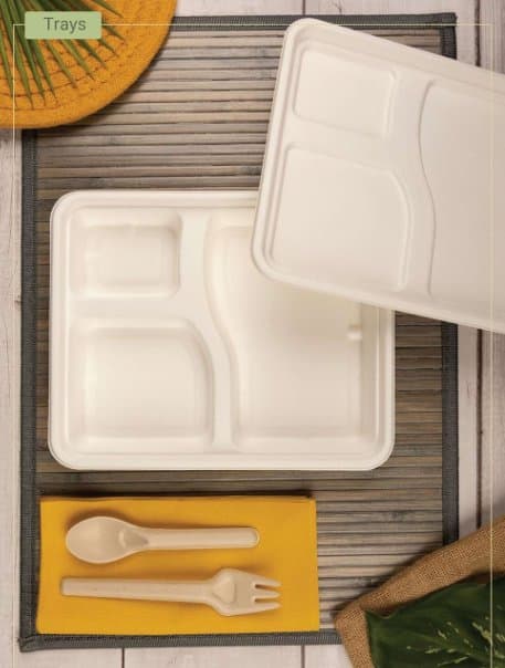 Bagasse Meal Trays