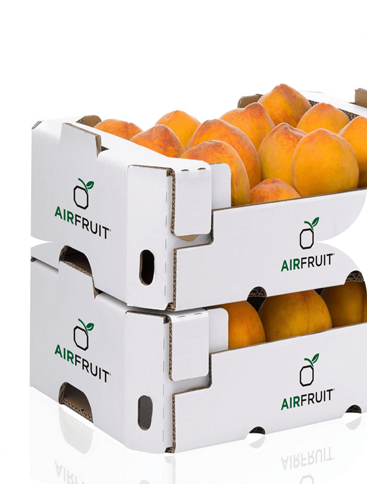 Agro & Horticulture Exports